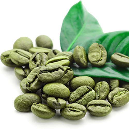 Green coffee bean