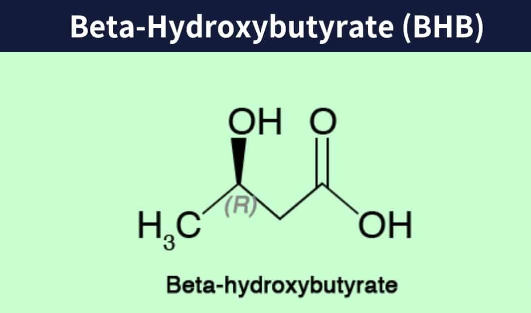 beta-hydroxybutyrate-BHB