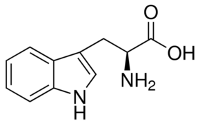 Tryptophan