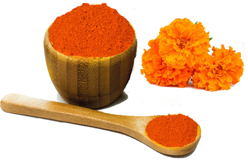 Marigold extract