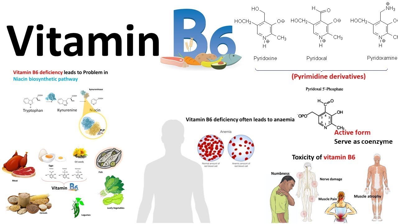 Vitamin B6