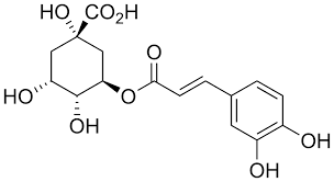 Chlorogenic Acid